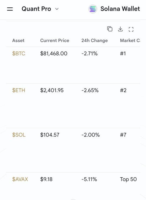 A “Quant Pro” page labeled “Solana Wallet” lists crypto assets and prices: BTC $81,468.00 with 24h change -2.71% and market cap rank #1, ETH $2,401.95 at -2.65% and #2, SOL $104.57 at -2.00% and #7, and AVAX $9.18 at -5.11% with “Top 50.”