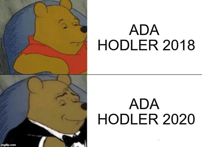 This meme uses two images of Winnie the Pooh to contrast the perspective of an "ADA HODLER" in 2018 (looking tired or weary) versus 2020 (looking smug or satisfied), illustrating the perceived success of long-term Cardano investors. The accompanying post reinforces this by celebrating the massive price appreciation of ADA from $0.02 to $3.