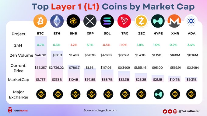 An infographic titled 'Top Layer 1 (L1) Coins by Market Cap' showing data for BTC, ETH, BNB, XRP, SOL, TRX, ZEC, HYPE, XMR, and ADA, including 24H changes, 24H volume, current prices, and market caps, sourced from coingecko.com by TokenHunter.