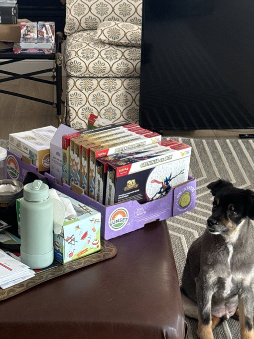 https://example.com/dog_pokemon_books.jpg