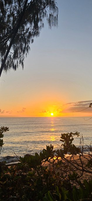 A scenic sunset over the ocean, with the sun casting a golden glow on the water, framed by silhouetted tree branches and foliage in the foreground.