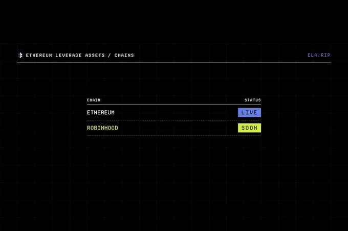 A minimalist website interface with the title 'ETHEREUM LEVERAGE ASSETS / CHAINS', showing 'ETHEREUM' as 'LIVE' in purple and 'ROBINHOOD' as 'SOON' in yellow.