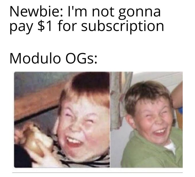 A meme with text reading 'Newbie: I'm not gonna pay $1 for subscription' and 'Modulo OGs:' above two photos of laughing boys in a Hasbulla-style meme format.