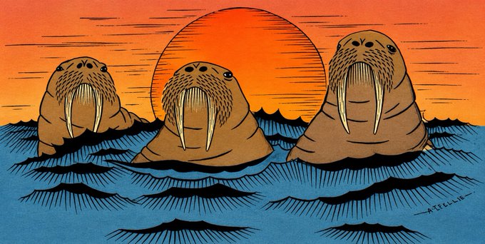An illustrated sunset scene featuring three walruses emerging from blue ocean waves, with the central one positioned in front of a large orange sun.