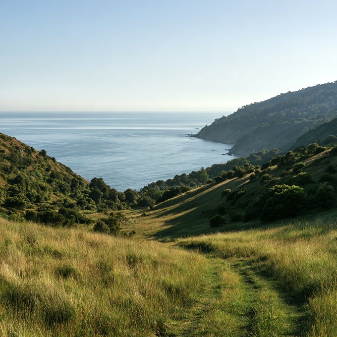 A scenic view of a grassy hillside leading down to the ocean, with hills extending into the calm sea under a clear sky.