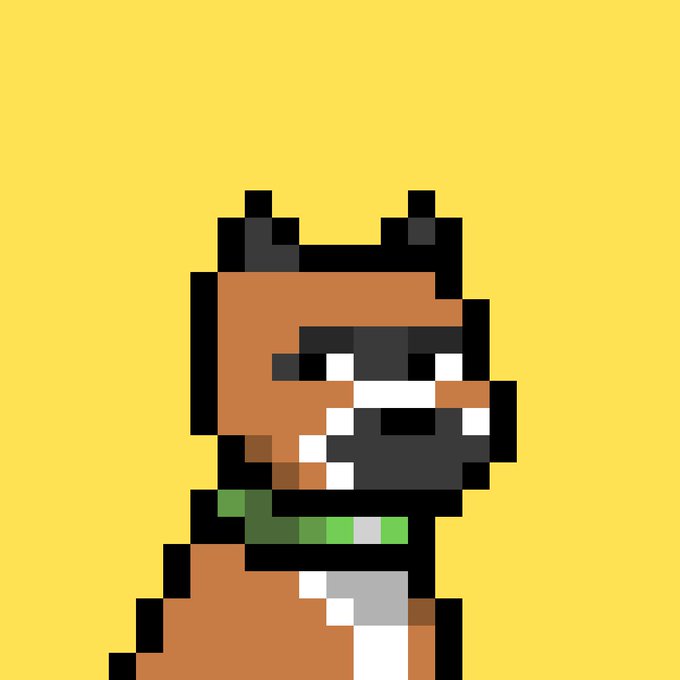 A pixel art portrait of a brown and black dog with a green collar against a yellow background, matching the Doginal Dogs crypto collection mentioned in the post about one life-changing NFT.