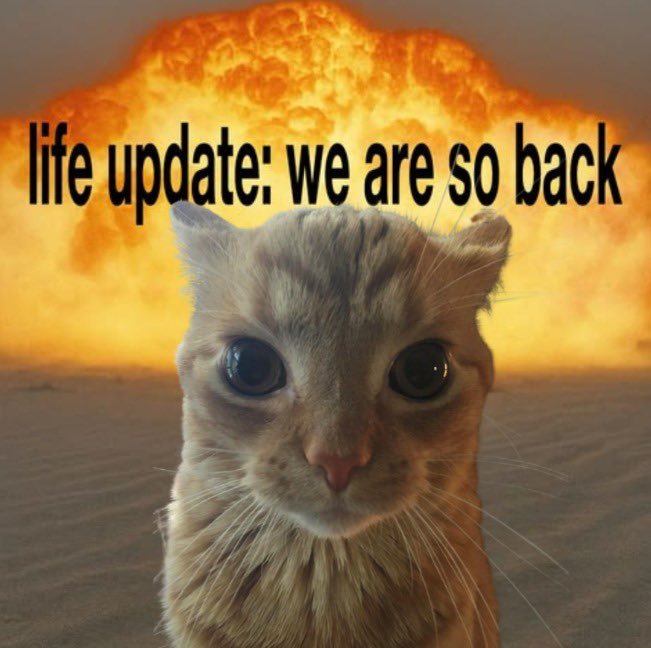 A meme featuring a wide-eyed cat superimposed over a nuclear mushroom cloud explosion, with text reading 'life update: we are so back.'