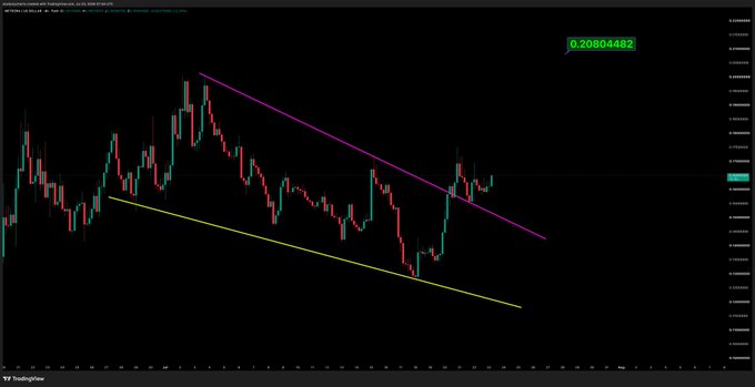 A cryptocurrency trading chart (META/USDT) on TradingView displays a descending channel pattern marked by pink and yellow trendlines, with the current price shown at 0.20804482 in the upper right. The post "$met trade going well" suggests the trader is positioned profitably within this bearish channel setup.