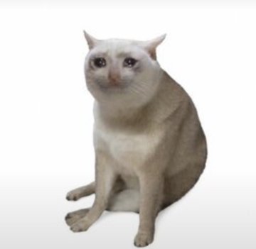 A white cat sits upright with a serious, almost judgmental expression against a plain background. The image humorously embodies the "$Cashcat" meme, portraying a cat that appears to be selectively welcoming only its "cash-rich" companions to join the "$Dih" community.
