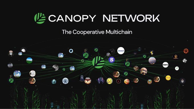 A graphic for 'CANOPY NETWORK - The Cooperative Multichain' showing a network of interconnected circular icons and logos linked by green lines.