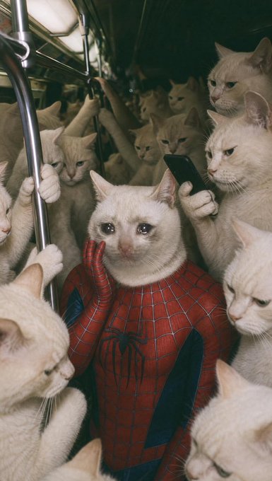 A surreal image of a cat wearing a Spider-Man suit surrounded by other cats crowded on a subway train, with one cat holding a phone.