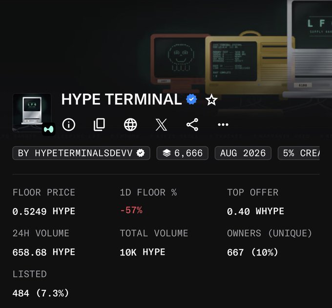 A dashboard displaying the 'HYPE TERMINAL' NFT collection stats: floor price 0.5249 HYPE (-57% 1D), 24H volume 658.68 HYPE, 667 unique owners, and 484 listed.