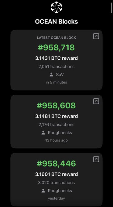 Ocean Blocks displays the latest three mined blocks, featuring #958,718 with a 3.1431 BTC reward, #958,608 with 3.1481 BTC, and #958,446 with 3.1601 BTC.