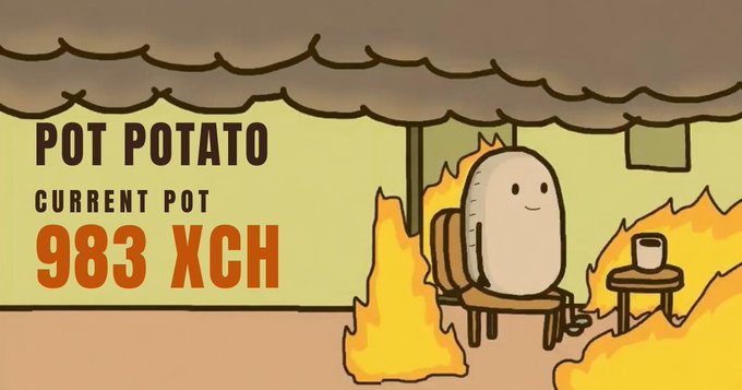 A cartoon potato sits calmly in a chair beside a fire with text reading "POT POTATO, CURRENT POT 983 XCH," illustrating the digital potato asset currently held at a 983 XCH valuation by user "myca" after taking it from @Ardaz955, who held it for 11 hours and 4 minutes.