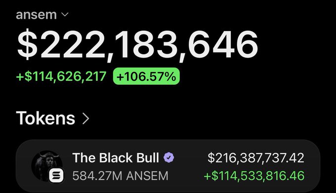 A portfolio screen showing 'ansem' holdings of $222,183,646 with a gain of +106.57% (+$114,626,217), with the top token being 'The Black Bull' valued at $216,387,737.42.