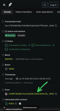 A screenshot of a blockchain transaction hash detail page showing 0.4 PONS tokens transferred to wallet address 0xf89F3858Bc7bac05a83Ec284E3E9AcDb58BF892A (highlighted with a green arrow), which the poster identifies as the token owner's wallet, serving as a warning to potential buyers.