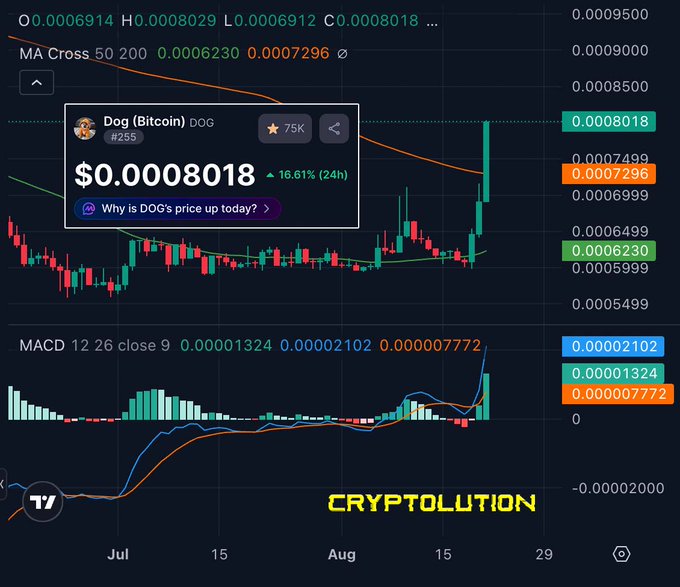 A candlestick chart shows Dog (Bitcoin) DOG at $0.0008018, up 16.61% (24h), with a bullish MACD histogram (0.00001324) crossing above its signal lines—visually confirming the strong green MACD momentum referenced for $DOG.