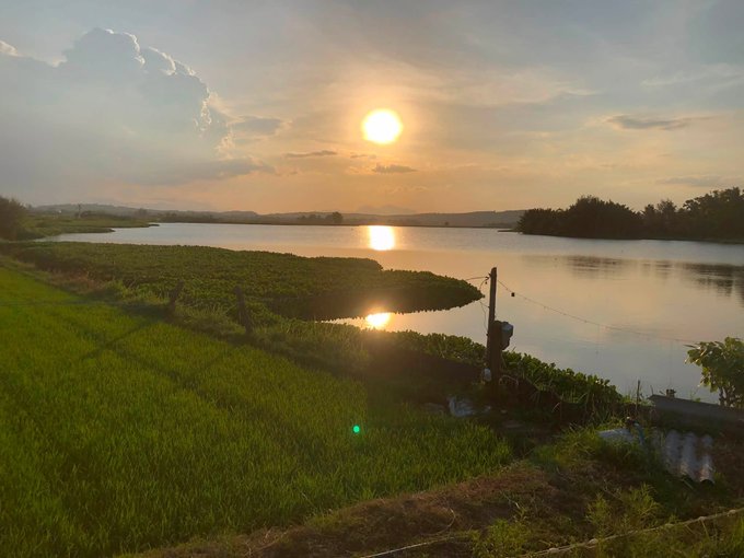 A serene landscape photo of a river or lake at sunset with green fields in the foreground and the sun reflecting on the water.