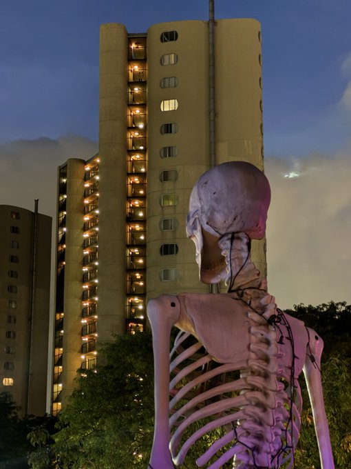An eerie skeleton figure standing in the foreground at night, with a tall illuminated apartment building looming in the background.