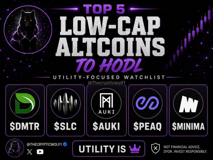 A graphic titled 'TOP 5 LOW-CAP ALTCOINS TO HODL' by @Thecrypticwolf1, listing five cryptocurrencies with their tickers: $DMTR, $SLC, $AUKI, $PEAQ, and $MINIMA, with a disclaimer 'NOT FINANCIAL ADVICE.'