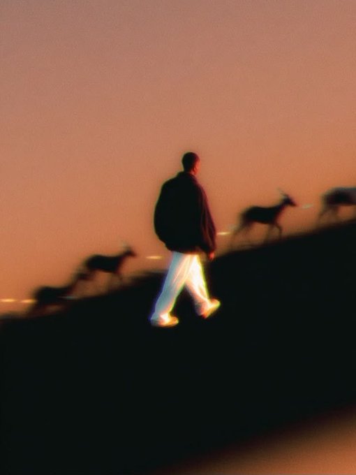 A blurry, stylized image of a person walking at sunset with animals (appearing to be goats or deer) in silhouette against an orange sky.