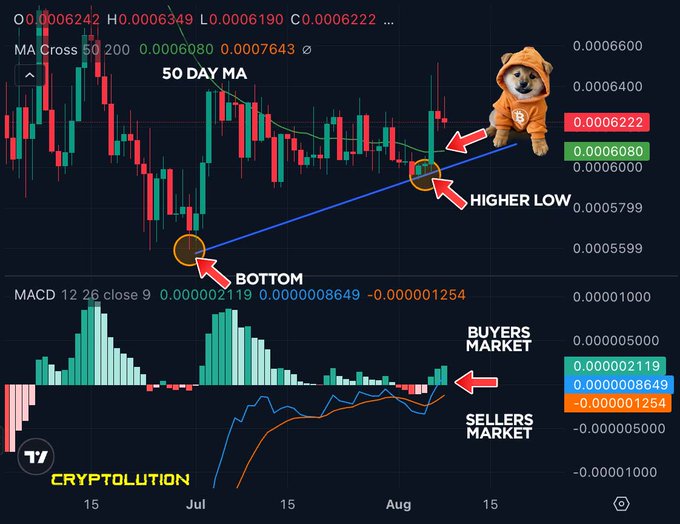 A crypto price chart from Cryptolution showing OHLC data and a 50-day moving average, with technical analysis annotations including 'BOTTOM', 'HIGHER LOW', 'BUYERS MARKET', and 'SELLERS MARKET', featuring a Shiba Inu dog mascot.