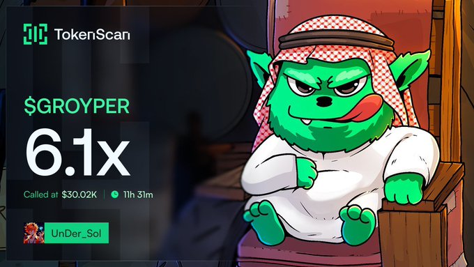 A TokenScan alert celebrates a 6.1x gain on the $GROYPER memecoin, called at $30.02K just 11 hours and 31 minutes ago, featuring the project's signature green goblin mascot dressed in traditional Arab attire lounging on a throne.