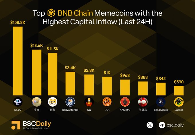 Bar chart titled “Top BNB Chain Memecoins with the Highest Capital Inflow (Last 24H)” showing SKYAI at $158.8K, 牛来 $13.6K, 旺柴 $11.3K, BabyAsteroid $3.4K, QQ $2.8K, リス $1K, KAMIRAI $968, 哭哭马 $888, SpaceXcoin $842, and Jacket $590. BSC Daily branding appears at the bottom.