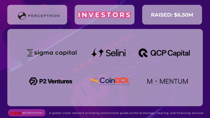 Promotional graphic for Perceptron showing $6.50M raised from investors including Sigma Capital, Selini, QCP Capital, P2 Ventures, CoinDCX, and Momentum, credited to @TokenHunter.