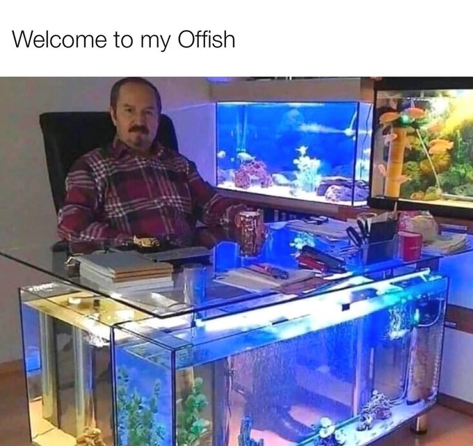 A man sitting at a glass desk that doubles as an aquarium, with more fish tanks visible behind him, captioned "Welcome to my Offish".