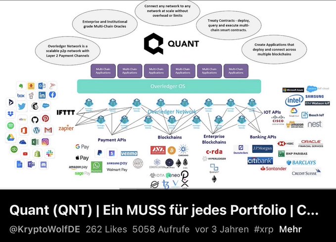 A YouTube thumbnail from @KryptoWolfDE (3 years ago) shows the Quant (QNT) Overledger ecosystem with multi-chain applications, blockchain APIs, banking and enterprise integrations, captioned 'Quant (QNT) | Ein MUSS für jedes Portfolio' with 262 likes and 5058 views, tagged #xrp.