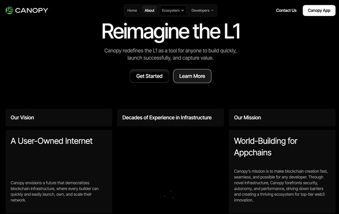 The image shows the Canopy Network (CNPY) website homepage with the headline "Reimagine the L1," positioning Canopy as a blockchain infrastructure platform for building appchains. Below the main banner are three sections—Our Vision, Decades of Experience in Infrastructure, and Our Mission—including descriptions like "A User-Owned Internet" and "World-Building for Appchains," which align with the post's idea of giving apps their own chain rather than competing for resources on a shared network.
