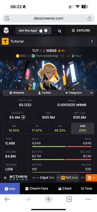 The image shows a Dexscreener page for the TUT token trading on PancakeSwap, displaying a price of $0.1222 with a 24-hour gain of 219% and listed as #2 on the trending board. The 24H volume of $4.8M and 1,018 traders support the post's claim about the coin's massive recent rally.