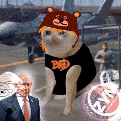 A meme image featuring a cat wearing a bear hat and a 'BAD' shirt sitting on an aircraft carrier, with small images of President Putin and a fighter jet in the background.