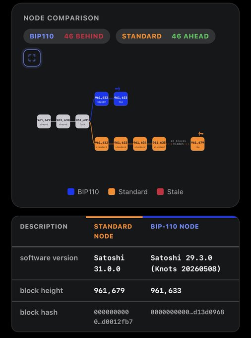 A Bitcoin node comparison dashboard showing BIP110 is "46 BEHIND" and Standard is "46 AHEAD," displaying software version (Satoshi 31.0.0 vs Satoshi 29.3.0/Knots 20260508), block height (961,679 vs 961,633), and block hash details.