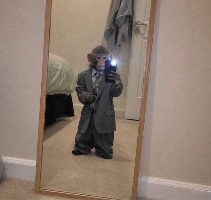 A young chimpanzee stands on its hind legs in a gray suit and tie, taking a mirror selfie with a smartphone in a bedroom.