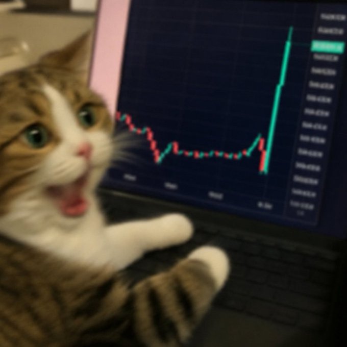 A shocked cat sits in front of a laptop displaying a stock or crypto chart with a sharp green upward spike, humorously reacting to the sudden price surge.