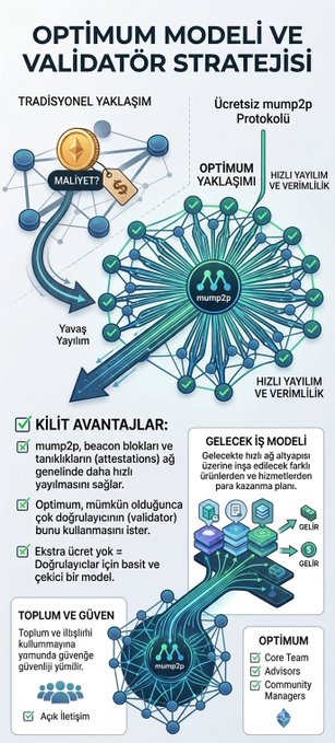 Turkish-language infographic titled 'OPTİMUM MODELİ VE VALİDATOR STRATEJİSİ' explaining the optimum validator strategy and validator model for mump2p Protocol, highlighting key advantages such as beacon blocks and fast propagation.