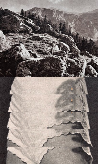 A black and white photograph showing rocky mountain terrain on top, and an abstract, layered view of leaves or feathers with small gold droplets below.