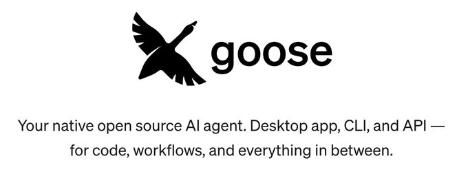 The image features a logo for Goose, which is a black bird with wings spread wide. The text "Goose" is written below the bird's head. Below this, there are lines of text that explain what goose is used for, including its role in web development and how it can be utilized to create dynamic websites.