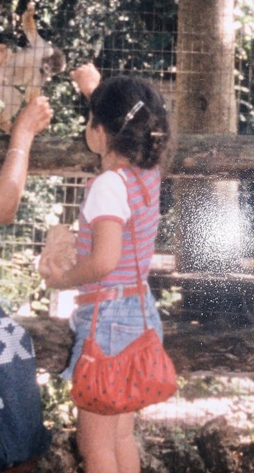 Vintage photo of a young girl in a striped shirt and denim shorts with a red purse, looking at animals through a fence.