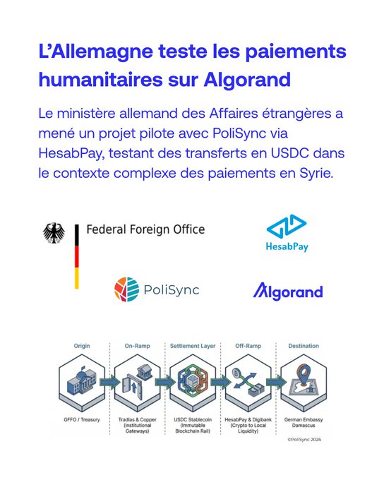 The image shows a poster with several icons, including logos for government agencies such as the Federal Foreign Office of Germany, the United States Department of Commerce, and the USAID. These icons are surrounded by small illustrations depicting stages related to transfer payments from Afghanistan. The text on the poster explains how these transfer payment systems can be used in foreign countries like Afghanistan, with an emphasis on how they can help fund humanitarian efforts such as health clinics or education.