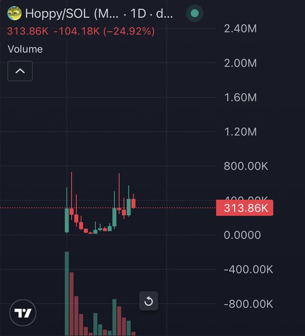 A dark-themed financial chart for the 'Hoppy/SOL' token on a 1-day timeframe, showing a red and green candlestick graph with the current price highlighted at 313.86K, down 24.92%.