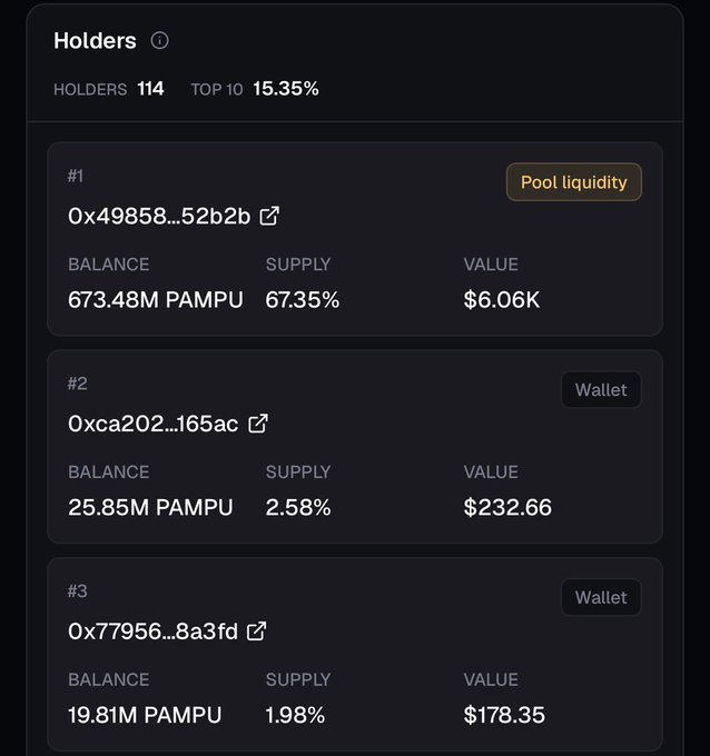The image displays a "Holders" tracker for the $PAMPU token showing 114 total holders with the top 10 controlling 15.35% of supply. It ranks the top three holders: the #1 pool liquidity address (0x49858...52b2b) holding 673.48M PAMPU (67.35%, $6.06K), followed by wallet 0xca202...165ac with 25.85M PAMPU (2.58%, $232.66), and wallet 0x77956...8a3fd with 19.81M PAMPU (1.98%, $178.35)—supporting the post's claim of the token recently surpassing 100 holders on the Base network.