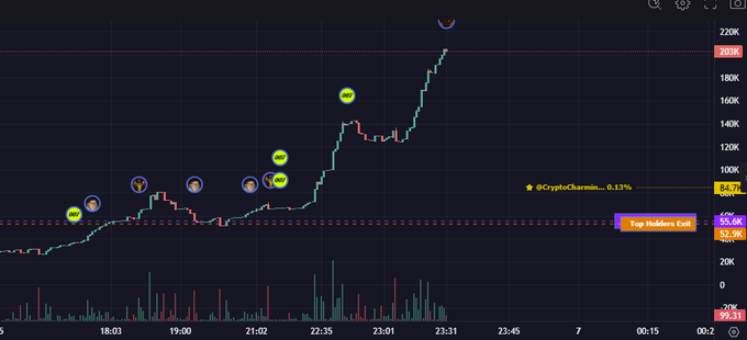 A cryptocurrency trading chart shows '$CryptoCharm.io' with a 0.13% change, displaying 'Top Holders Est' at 55.6K and 52.9K, with price reaching 203K.