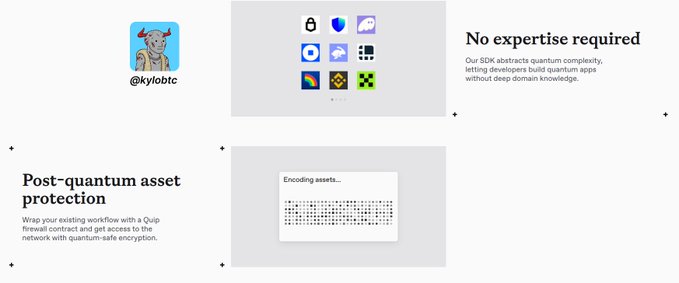 The image shows a screenshot of a website called "quip" with a gray background, white text, and various icons related to quantum security. The main content focuses on the importance of Quantum asset protection for crypto networks. There are two columns of text in the image, one above the other, providing information about the post-quantum asset protection service offered by Quip network.