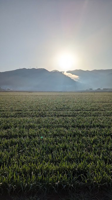 The image shows a large field of green grass with mountains in the background, suggesting that this scene takes place in a rural area or countryside setting. There are no people visible in the photo, which adds to the peaceful atmosphere. The sun appears to be setting behind the mountains, casting a warm glow over the landscape and highlighting the vibrant colors of the field.