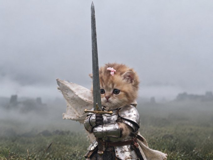 A small orange kitten wearing a pink bow and silver armor holds a sword, standing on a foggy field with a white flag-like cloth behind it.
