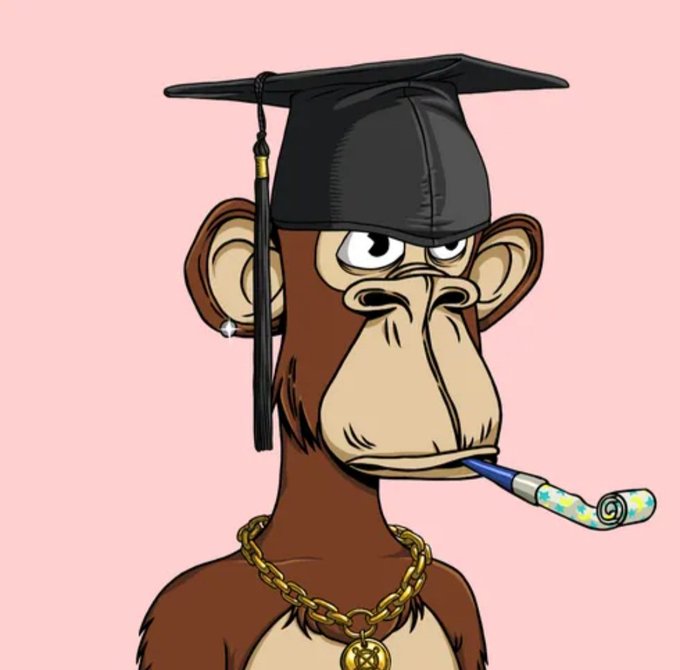 A cartoon monkey wearing a black graduation cap, gold chain, and holding a rolled diploma in its mouth against a pink background.