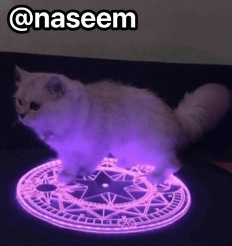 A fluffy white cat stands inside a glowing purple magical circle, with the username "@naseem" displayed at the top, humorously framing Naseem as a mystical figure who summoned crypto profits through arcane timing.
